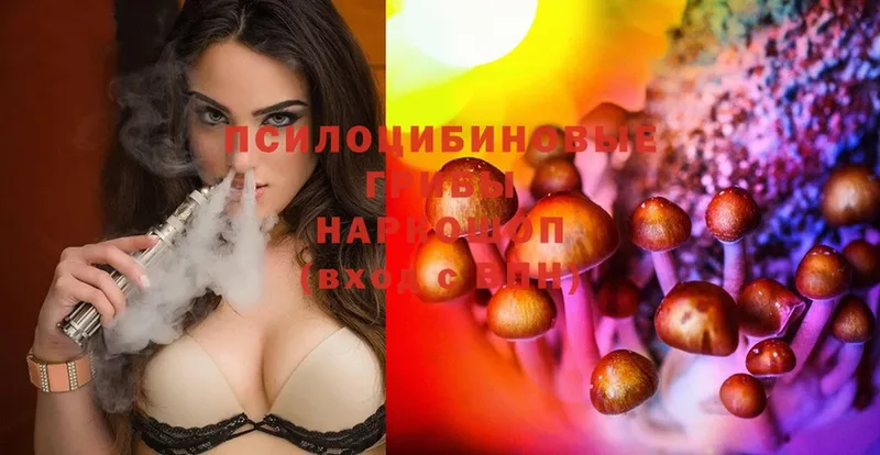 MEGA вход  Кушва  Галлюциногенные грибы Cubensis  продажа наркотиков 